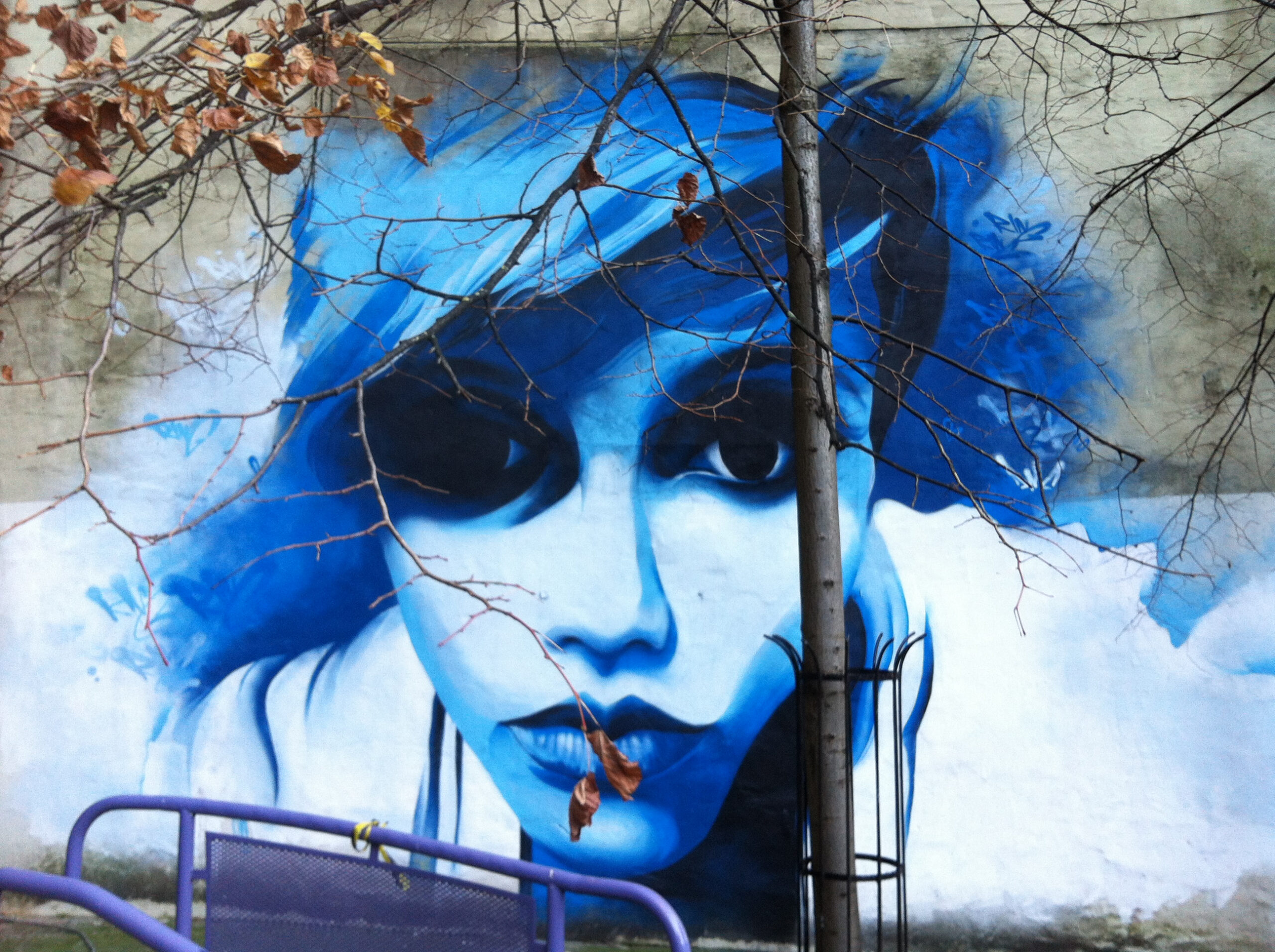 beautiful spray paint art of woman's face in blue